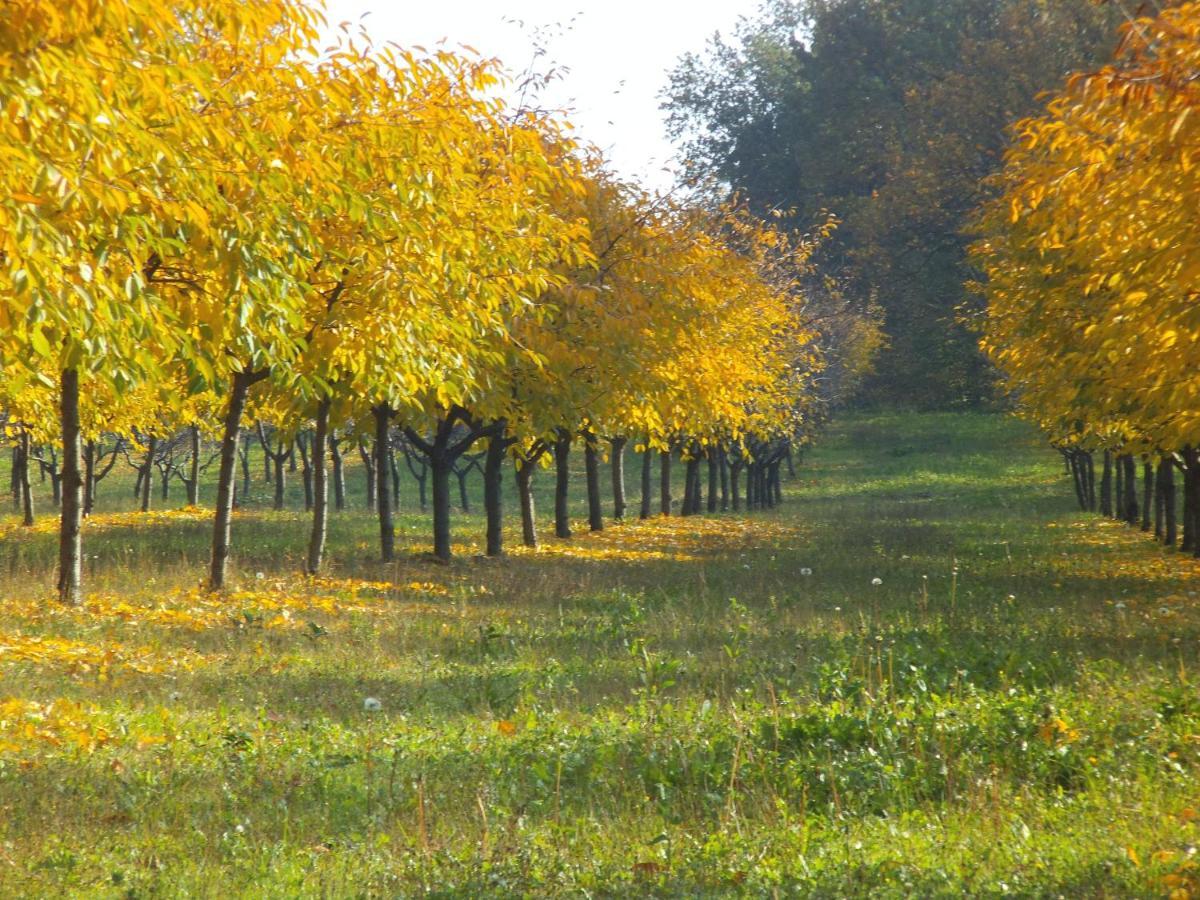 Alloggio Cantalupo Formigine Exterior photo